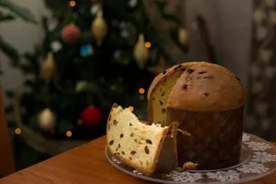 Gran Panettone by Balaji Attire Pvt Ltd