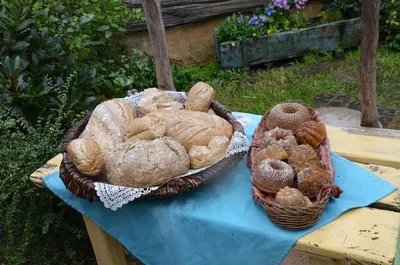 Pastry, Cake, and Croissant by Eflani Un Gida San. ve Tic. A.S.