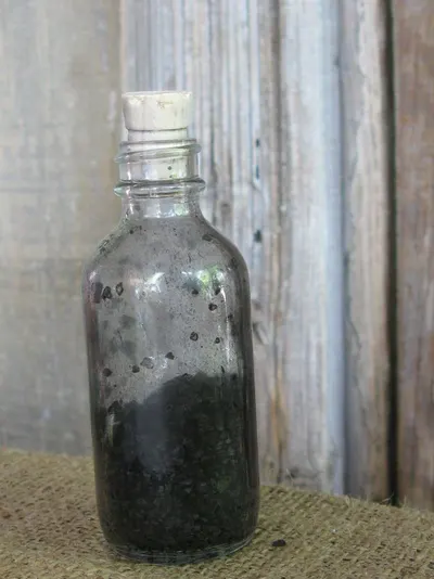 Organic black currant nectar