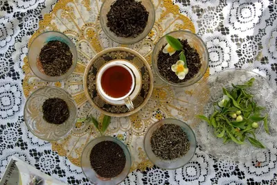 Assam Orthodox Tea