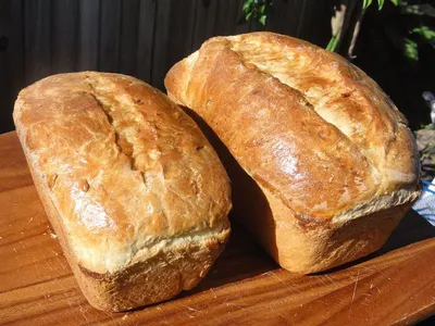 Bread box