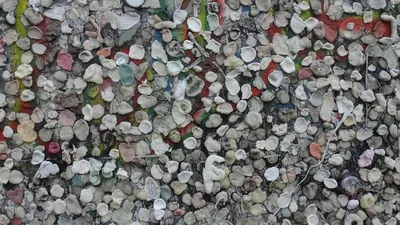 Pet Bottle Scrap