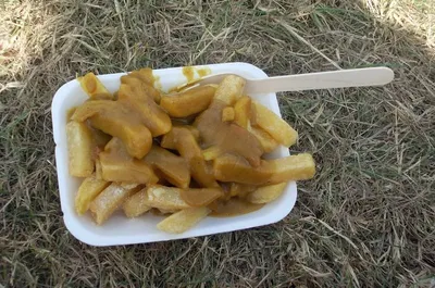 Penne