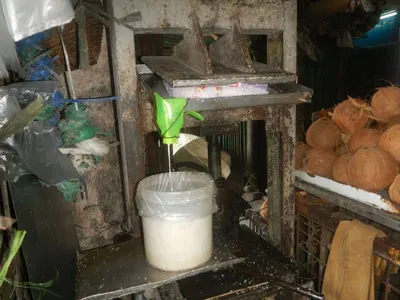 Domestic flour mill