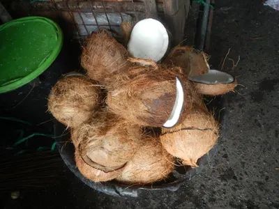 Coconut Milk