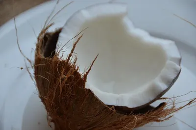 Coconut Milk Powder