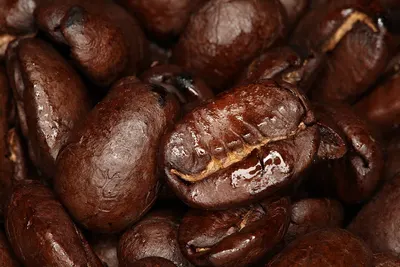 Coffee Gorilla'S by Comstock Global INC