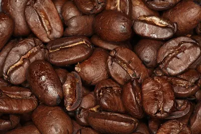 Hatari Cocopuff Coffee 170gr
