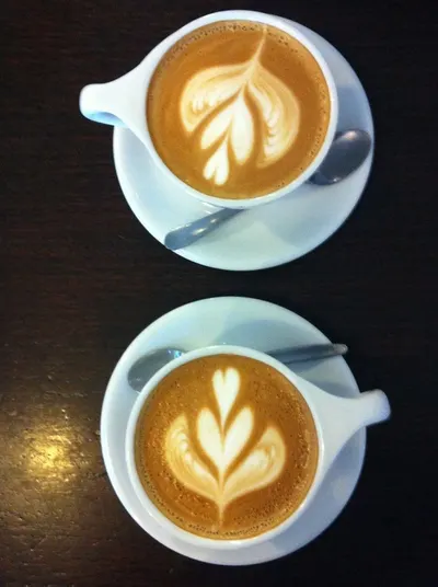 Gayo Coffee