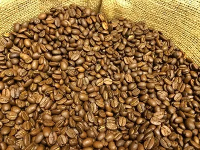 Brazillian Coffee Bean