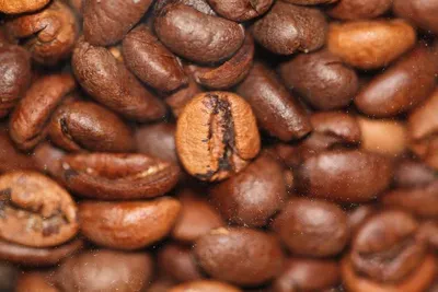 Coffee Beans