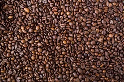 House Blend Indonesia Arabica/Robusta/mix by Pt Kopi Prima Indonesia