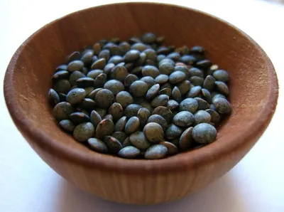 Robusta Sumatera Lampung by Pt Kopi Prima Indonesia