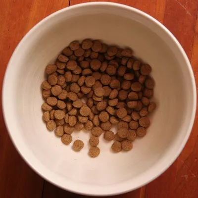 Arabica Sumatera Roast Bean (Gayo/Mandheling) by Pt Kopi Prima Indonesia