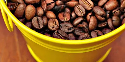 Robusta Java EK1 by Pt Kopi Prima Indonesia