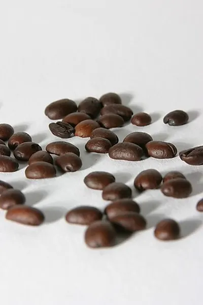 Robusta Coffee Beans
