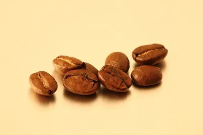 Robusta Rempek