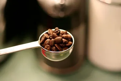Roasted Bean Arabica Toraja Indonesia by Pt Kopi Prima Indonesia