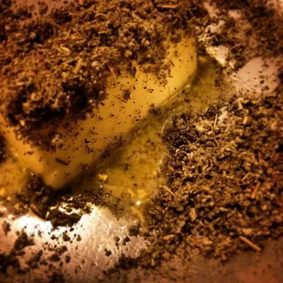 Coffee Powder