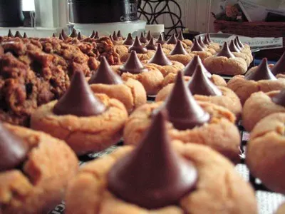 Hershey's Kisses Chocolate by Cv. Ksr Tulip