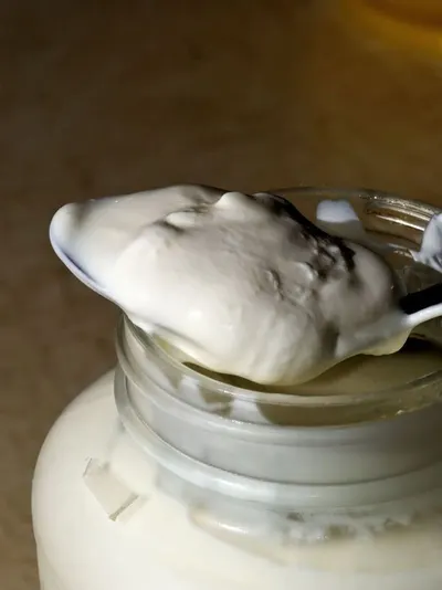 Silk slice ice cream