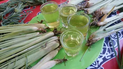 Lemongrass Oil by Global Merchants