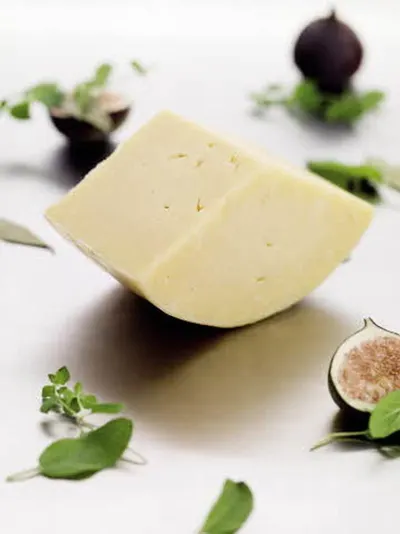 Truffle