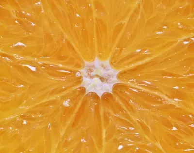 Pulp fruit