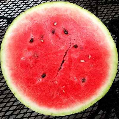 Fresh Seedless Watermelon