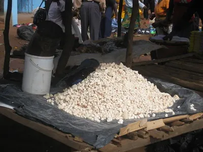 White Edible Copra