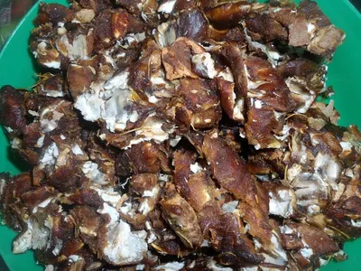 2025 Best Selling Sun Dried Hides/Skin by Reenjoh Limited