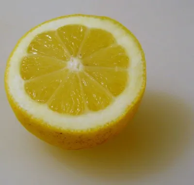 Fresh Lemon by Visgo Enterprises