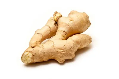 Ginger