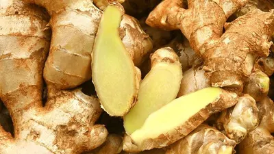 Rhizome Ginger