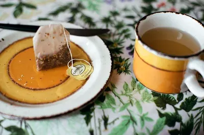 Natural Stingless Bee Honey | Madu Kelulut