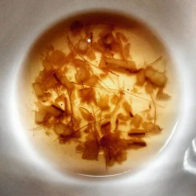 Aroma Gold Tea