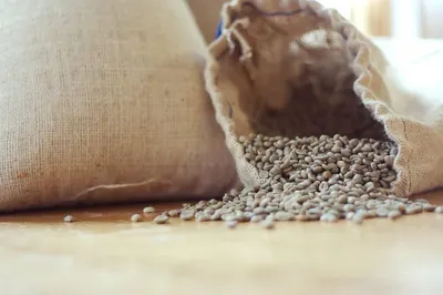 Green coffee