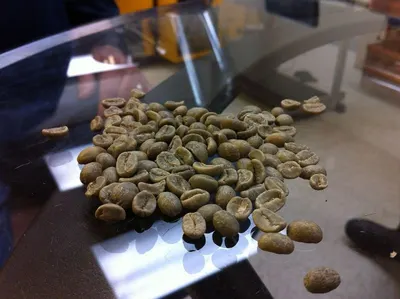 Gayo, aceh arabica grade 1 by Ibnu Seena Co.