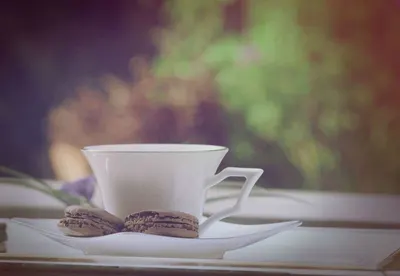 Raw Luwak Coffee Gayo