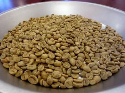 Green Coffee Beans Robusta Grade 2