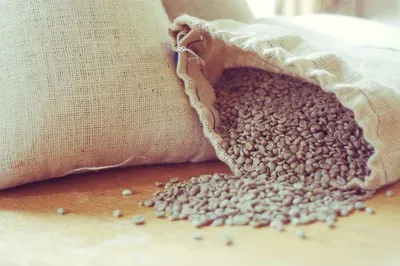 Best Green coffee Beans by Nancky Products