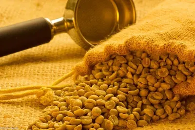 YIRQACHEFFE Green Coffee by Pure Solution And Sale