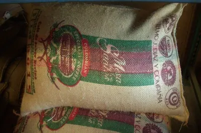 Arabica Colombian Green Coffee