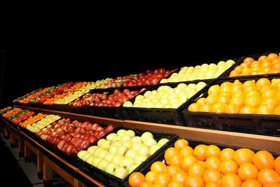 Empty Fruit Bunches