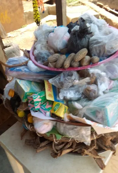Macaw parrots and parrots eggs for sale - Image 2