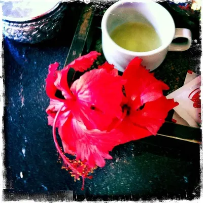 Hibiscus flower (Zobo) - Image 3