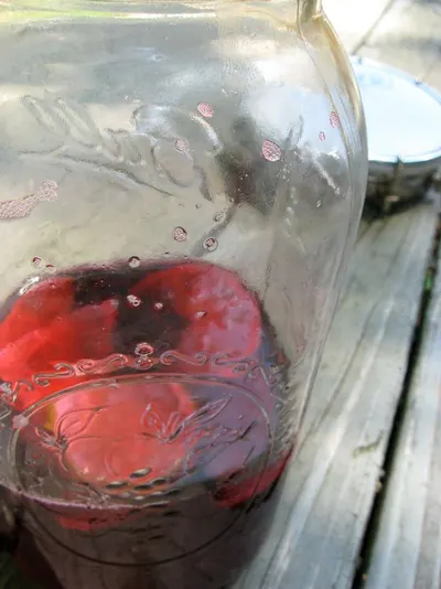 Fresh Pomegranate Sparkling Water