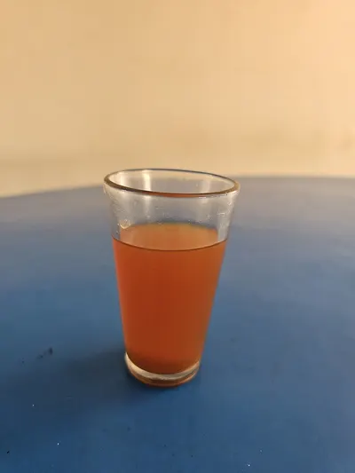 Pomegranate Sour / Molasses