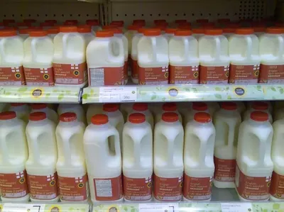 Milk