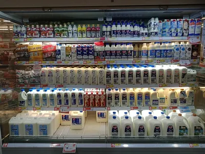 Milk & Dairy Products